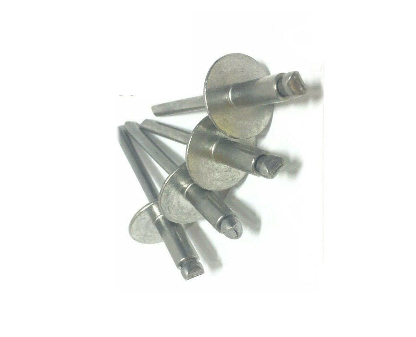 KolotovichTool Pack of 100, 3/16' x 1/4' Grip All Stainless Steel Large Flange POP Rivet 64LF Fastener Kit Bolt Set RE-4717DD