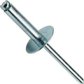 Large Flange Pop Rivets 1/4' x 5/8'All Steel (8-10) Dome Head Qty 250 Industrial Grade Hardware Fasteners DIY Home Repair Construction Use