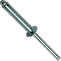 Pop Rivets 1/4' x 7/8' All Steel Dome Head Blind 8-14 Quantity 250 PCS Blind Rivets for DIY Real Men