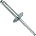 Large Flange Pop Rivets 1/4' x 3/4'All Steel (8-12) Dome Head Quantity 250 PCS Blind Rivets for DIY Real Men