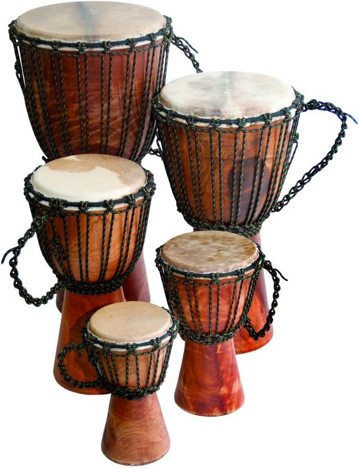 Djembe Beginner Plain, 24' tall, 9-10.5' head