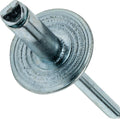 Large Flange Pop Rivets 1/4' x 1/4'All Steel (8-4) Dome Head Quantity 1000 PCS Blind Rivets for DIY Real Men