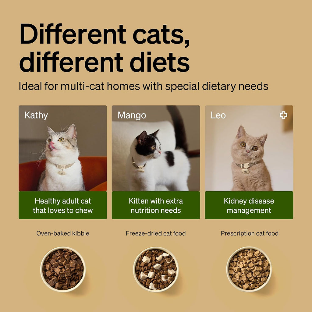 PETLIBRO RFID Cat Feeders for 2 Cats, Collar Sensor for Personalized Meals, Cats Recognition, Diet Tracking and Anti-Stealing for Multi-Pets Homes and Different Diets, Automatic Pet Feeder (Pack of 2)