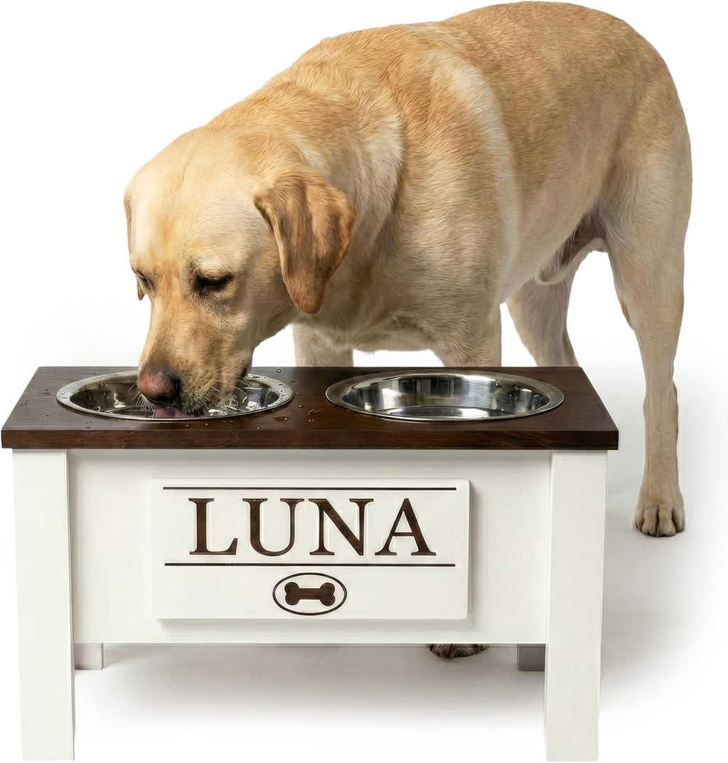 GTW Elevated Dog Bowl Stand for Large Dogs - Customized Feeding Station with Storage & Stainless Steel Bowls (Large, Dark Walnut)