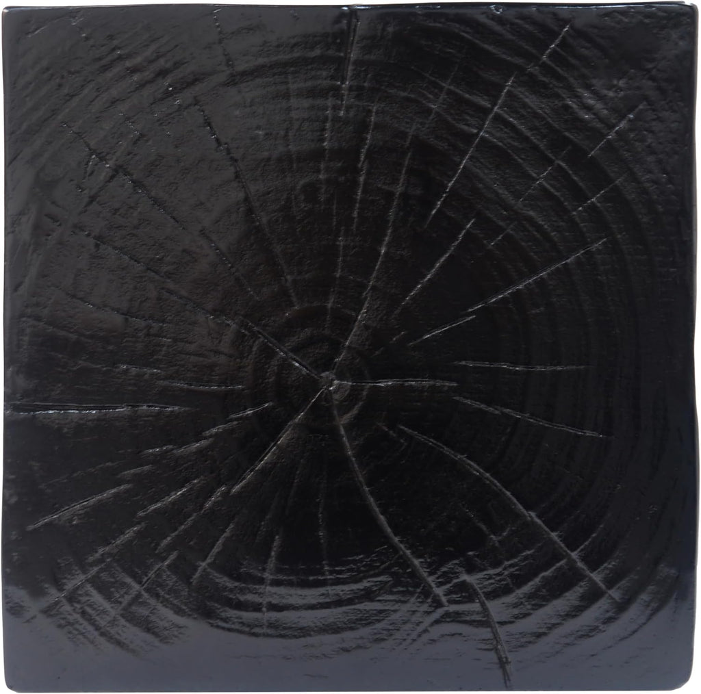 Christopher Knight Home Bard 18' Square Living Room Side Table, Wood-Like Distressed Finish End Table, Decorative Accent Table for Indoor Outdoor Usage, Space Saving Furniture, Black