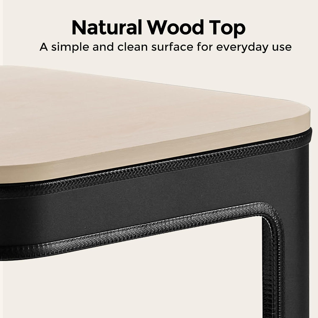 EUREKA ERGONOMIC Side Table Cat Beds, Square End Table with Cat House, Metal Nightstand with 3 Tier Storage, Modern Side Table End Beside Table for Living Room Bedroom Indoor, Easy Assembly, Black