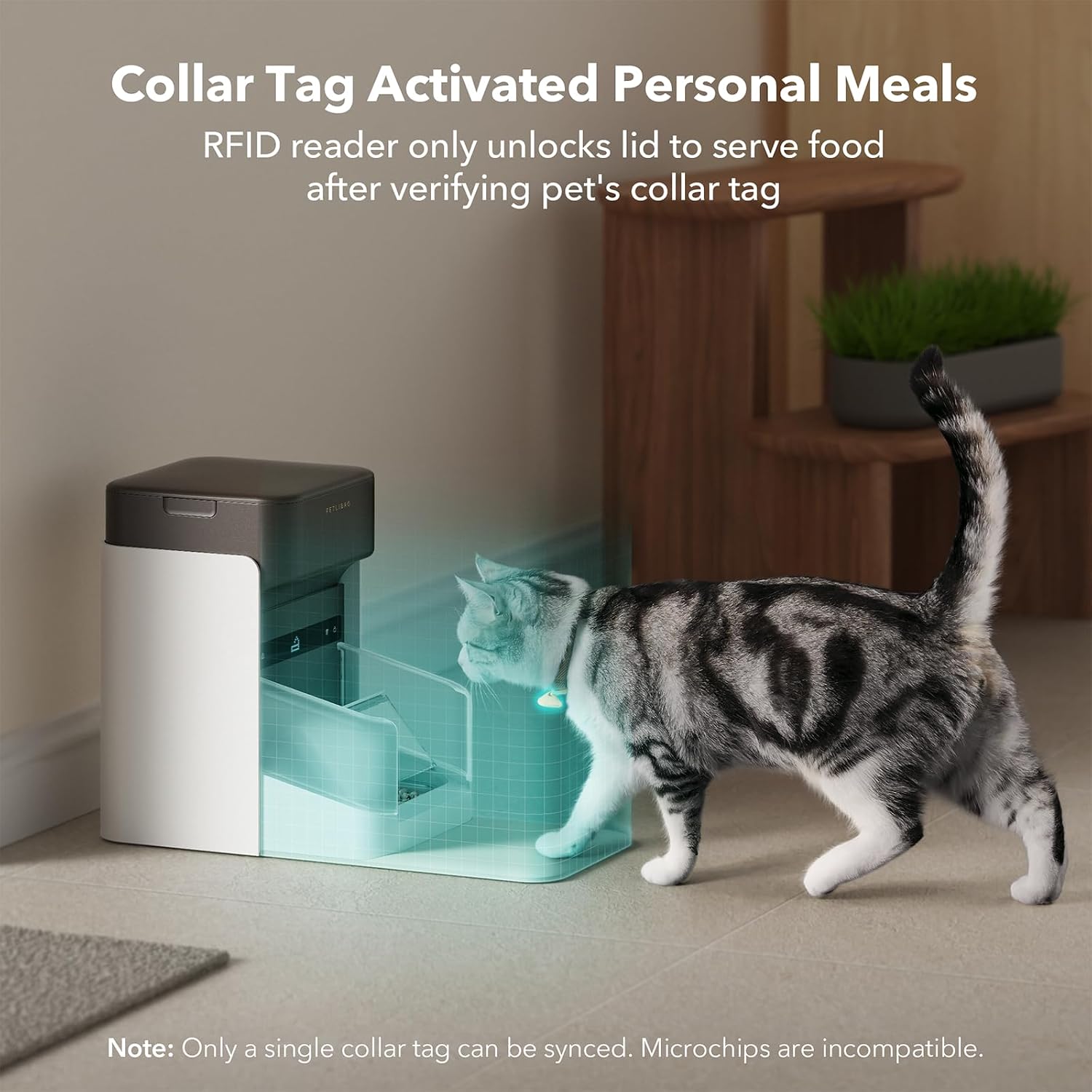 PETLIBRO RFID Automatic Cat Feeder, Collar Tag Activated Personal Meals, 5G Wi-Fi Multiple Cats Feeder for 3 Cats, App Control Cat Food Dispenser for Pets with Different Diets