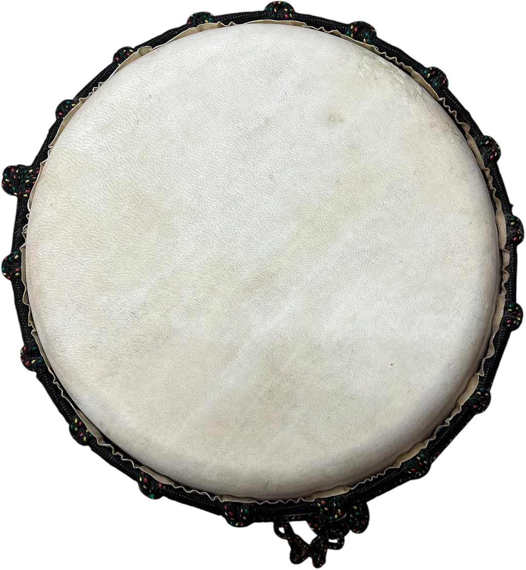 Djembe Beginner Plain, 20' tall, 8.5-9.5' head