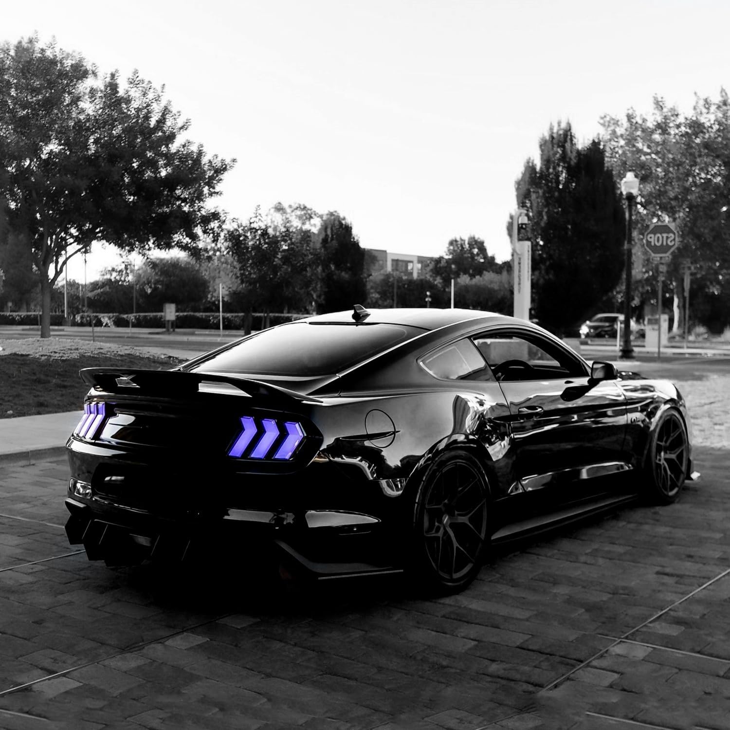 HCmotion LED Tail Lights For Ford Mustang Euro 2015-2023 (6 Lighting Modes), Start UP Animation With Sequential Turn Signal Rear Lamp Kit Assembly (Clear-RG)