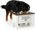 GTW Elevated Dog Bowl Stand for Large Dogs - Customized Feeding Station with Storage & Stainless Steel Bowls (X-Large, Brown)