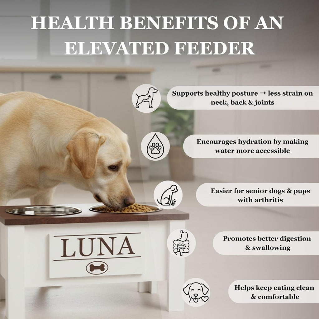 GTW Elevated Dog Bowl Stand for Large Dogs - Customized Feeding Station with Storage & Stainless Steel Bowls (Large, Black)