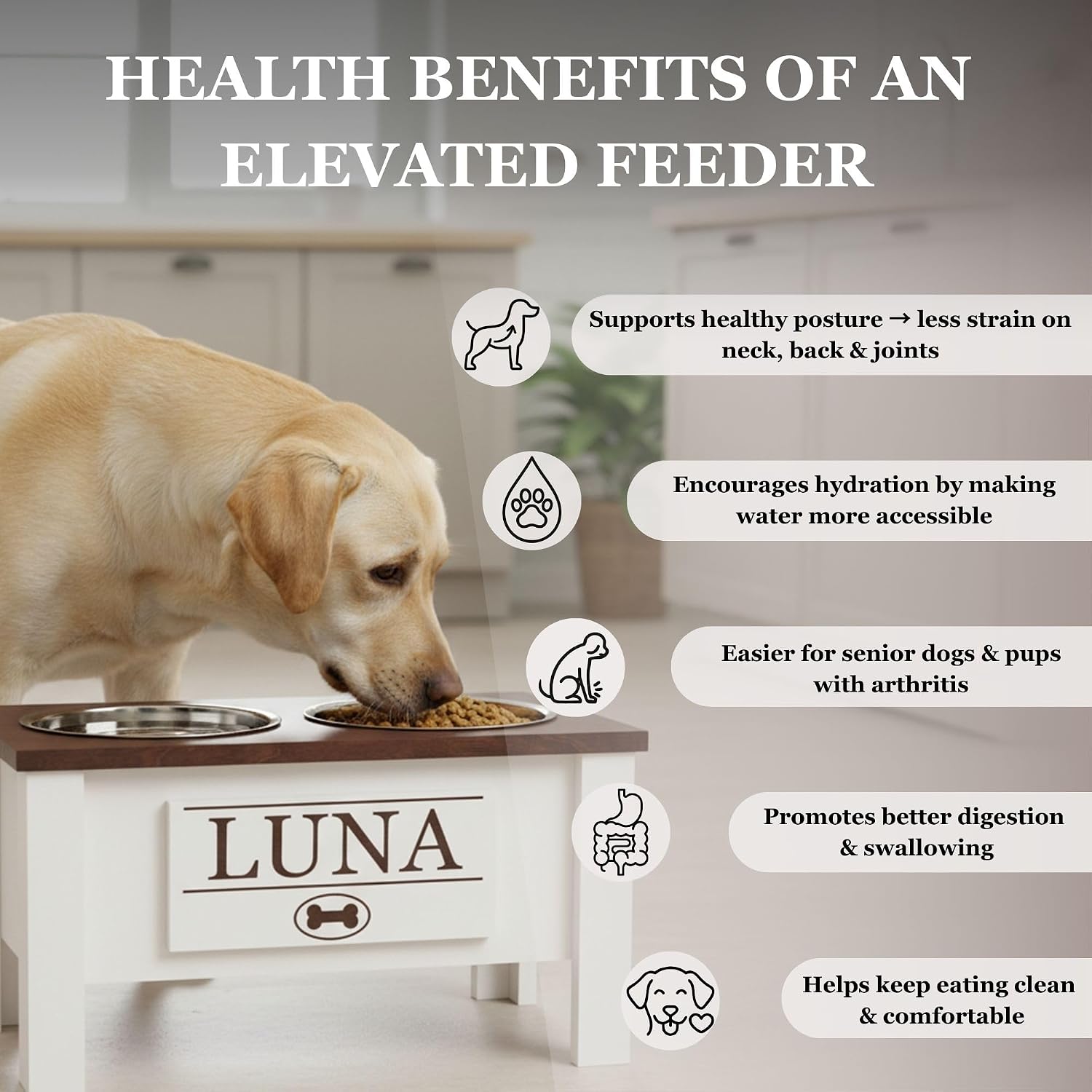 GTW Personalized Elevated Dog Bowl Stand for Large, Medium, Small, X-Small Dogs - Stainless Steel Food and Water Bowls - Raised Dog Dish with Internal Storage (Medium, Dark Walnut)