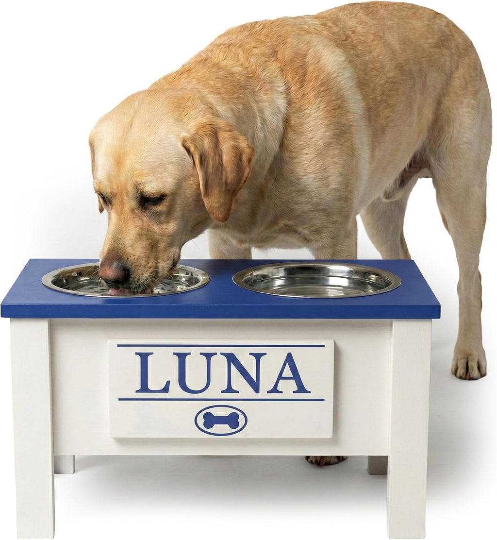 GTW Elevated Dog Bowl Stand for Large Dogs - Customized Feeding Station with Storage & Stainless Steel Bowls (Large, Blue)