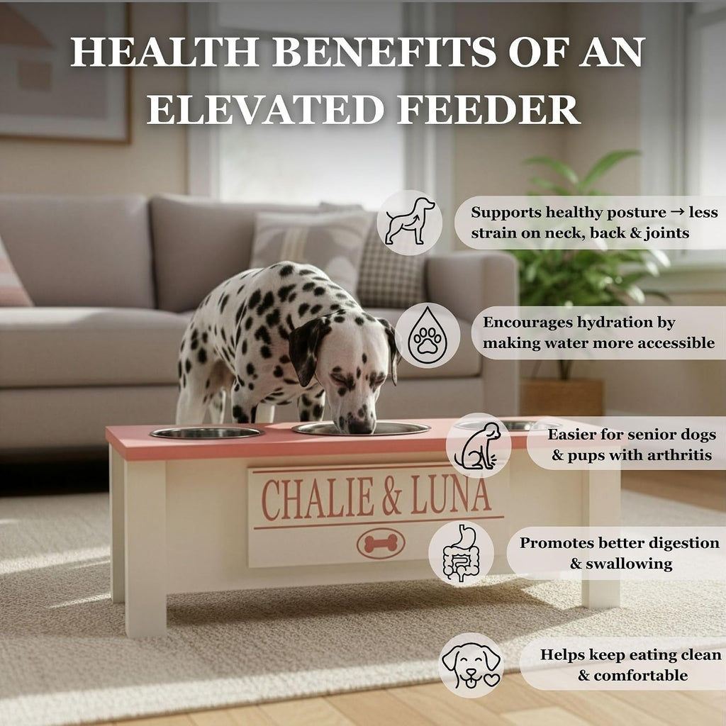 GTW Elevated 3 Bowl Dog Feeding Station - Customized Triple Stand for Large Dogs - Includes Storage & Stainless Steel Bowls (Large, Brown)